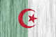 Algeria flag - small - style 2
