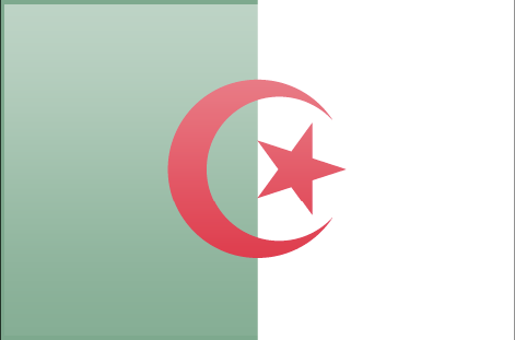 Algeria flag - large - style 3