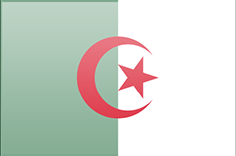 Algeria flag - medium - style 3