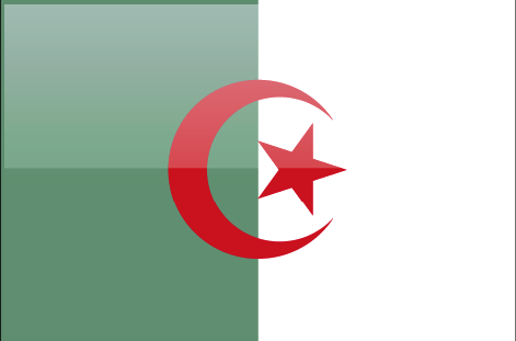 Algeria flag - large - style 4