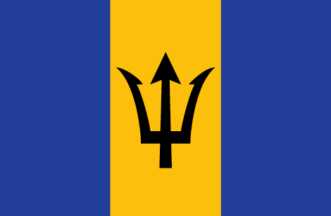 Barbados flag - large - style 1