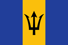 Barbados flag - medium - style 1