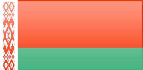 Belarus flag - large - style 3