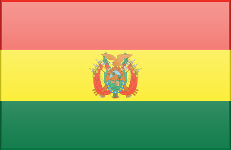 Bolivia flag - large - style 3