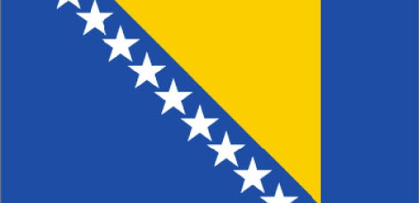 Bosnia flag - large - style 1