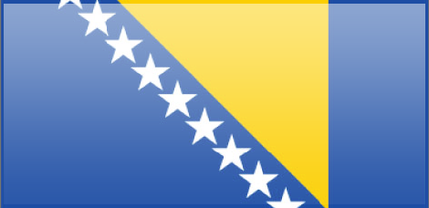 Bosnia flag - large - style 3