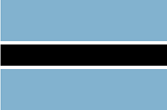 Botswana flag - medium - style 1