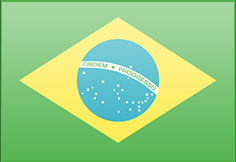 Brazil flag - medium - style 3