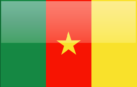 Cameroon flag - large - style 4