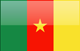 Cameroon flag - small - style 4
