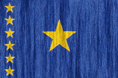 Democratic Republic of the Congo flag - medium - style 2