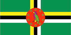 Dominica flag - medium - style 1