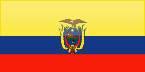 Ecuador flag - large - style 4
