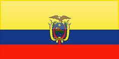 Ecuador flag - medium - style 4