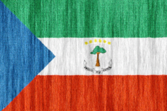 Equatorial Guinea flag - medium - style 2