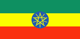 Ethiopia flag - small - style 1