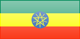 Ethiopia flag - small - style 3