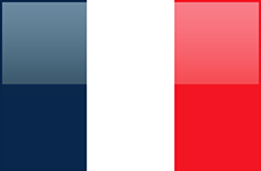 France flag - medium - style 4