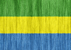 Gabon flag - medium - style 2