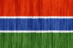 Gambia flag - medium - style 2
