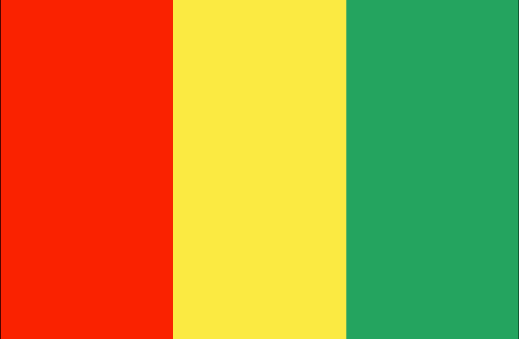 Guinea flag - large - style 1