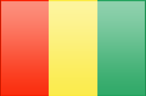 Guinea flag - large - style 3