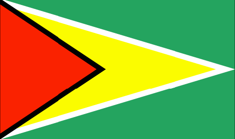 Guyana flag - large - style 1