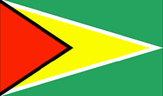 Guyana flag - medium - style 1
