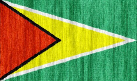 Guyana flag - large - style 2