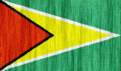 Guyana flag - medium - style 2