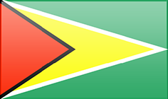 Guyana flag - medium - style 3