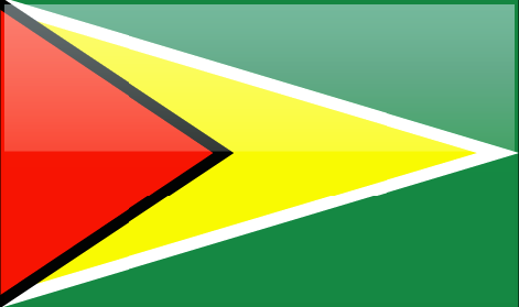 Guyana flag - large - style 4
