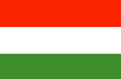 Hungary flag - large - style 1