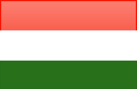 Hungary flag - large - style 4