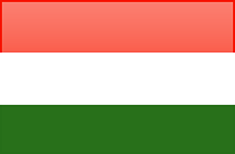 Hungary flag - medium - style 4