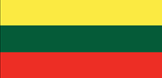 Lithuania flag - medium - style 1