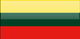 Lithuania flag - small - style 4