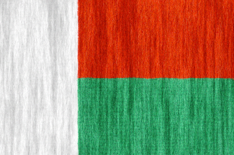 Madagascar flag - large - style 2