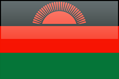Malawi flag - medium - style 4
