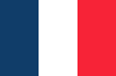 Martinique flag - medium - style 1