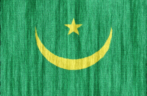 Mauritania flag - large - style 2