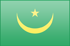 Mauritania flag - medium - style 3