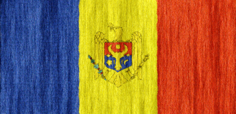 Moldova flag - large - style 2