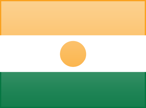 Niger flag - large - style 3