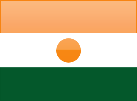 Niger flag - large - style 4