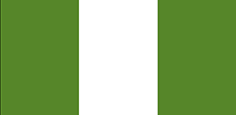 Nigeria flag - medium - style 1