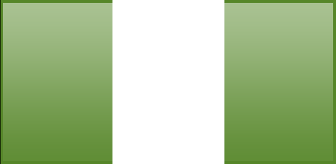 Nigeria flag - large - style 3