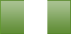 Nigeria flag - medium - style 3