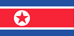 North Korea flag - medium - style 1