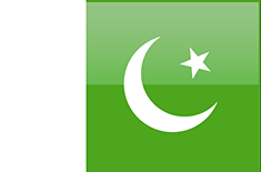 Pakistan flag - medium - style 4